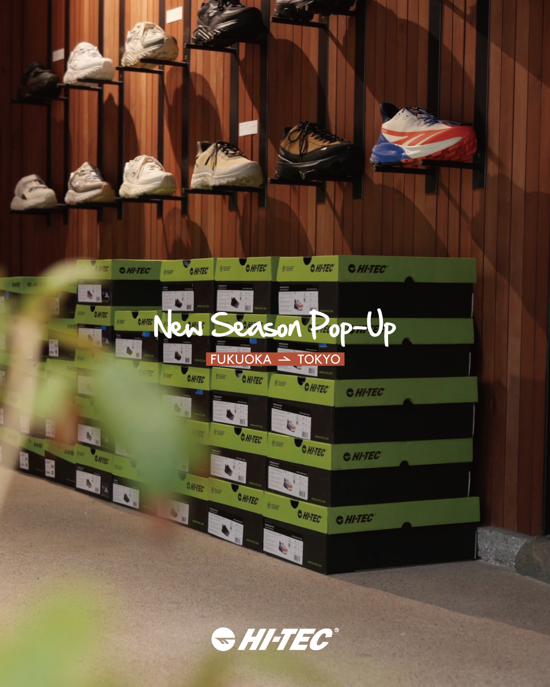 New Season Pop-UP 26春夏